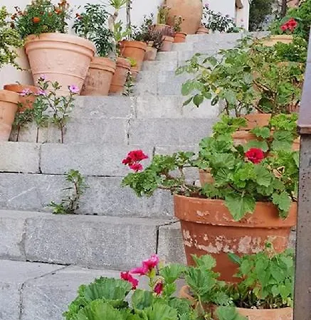 Hotel Panorama Di Sicilia 2*