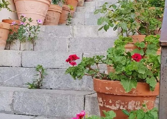 西西莉亚全景酒店 酒店